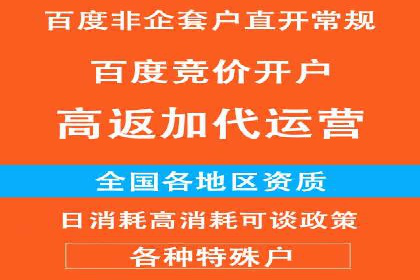 初学者的百度竞价推广：成功案例揭秘